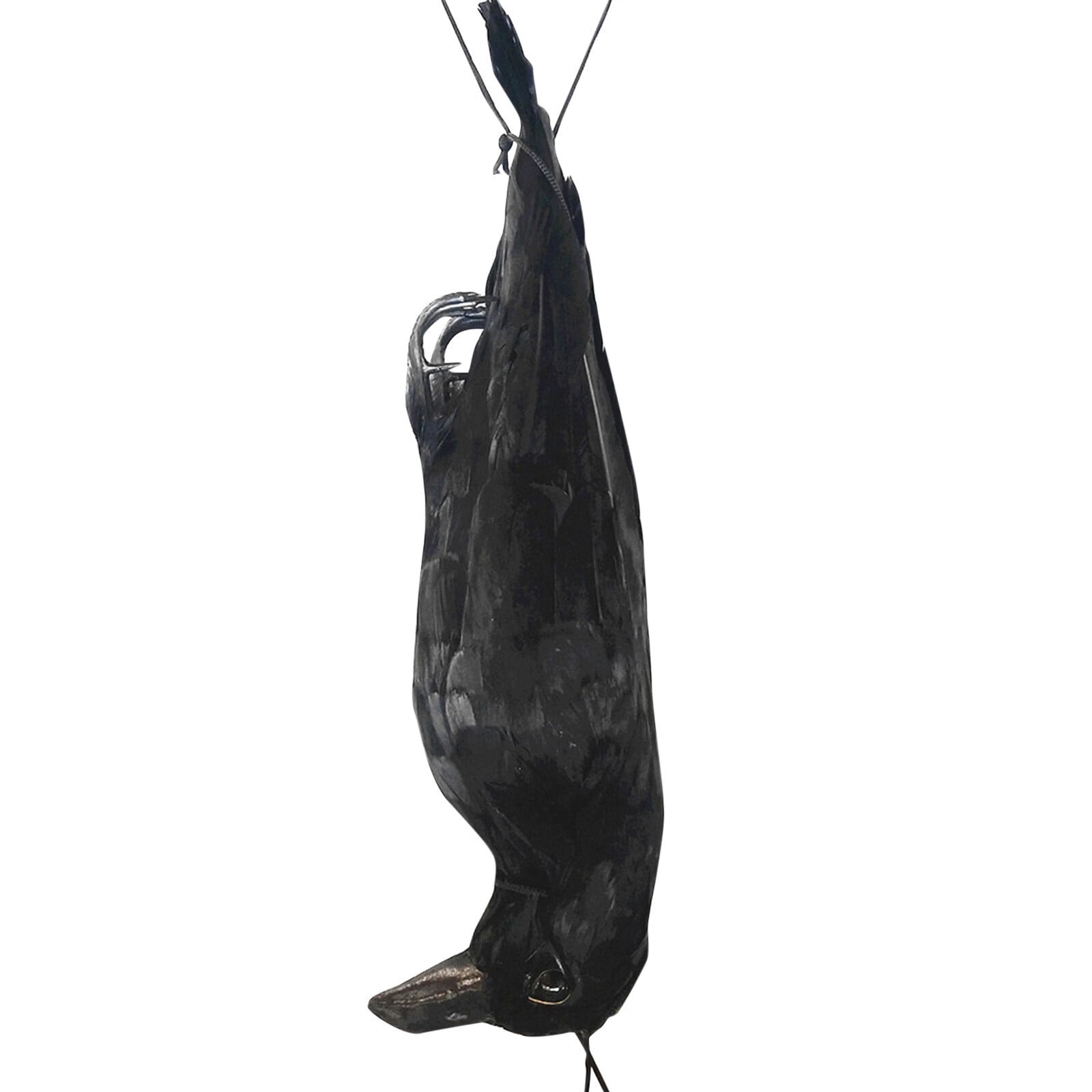 Realistic Hanging Dead Crow Decoy Lifesize Extra Large Black Feathered