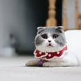 thumbnail image 7 of Bueautybox Cat Cute Christmas Decor Santa Xmas Knitted Scarf Pet Collar for Small Animals, 7 of 7