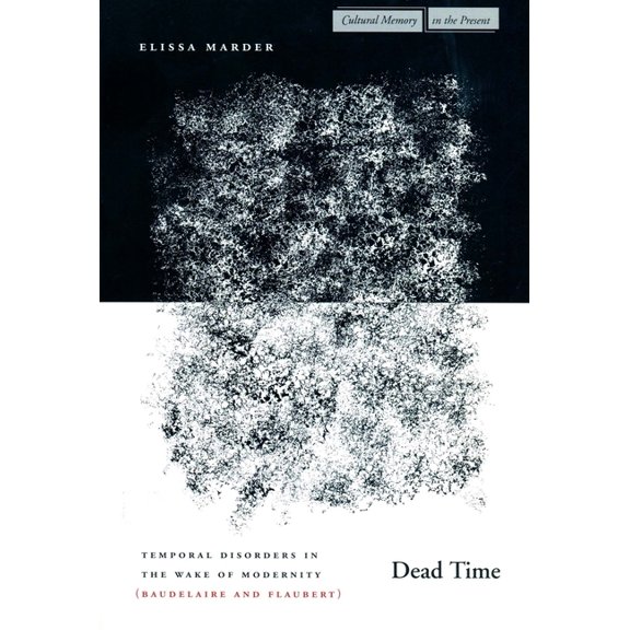 Cultural Memory in the Present Dead Time: Temporal Disorders in the Wake of Modernity (Baudelaire and Flaubert), (Paperback)