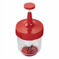 thumbnail image 1 of Manual de instrucciones de la picadora de alimentos GoodCook Red Clear, 1 of 1
