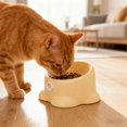 thumbnail image 1 of Large Cat Bowl Elevated 7-Inch Feeding Dish with 250ml Capacity & Anti-Tip Base, 1 of 1