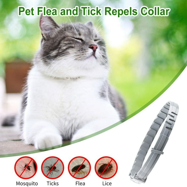 Collar Antipulgas Y Garrapatas Para Gatos UIEXAY – Protección 8 Meses, Impermeable, Talla Única Ajustable