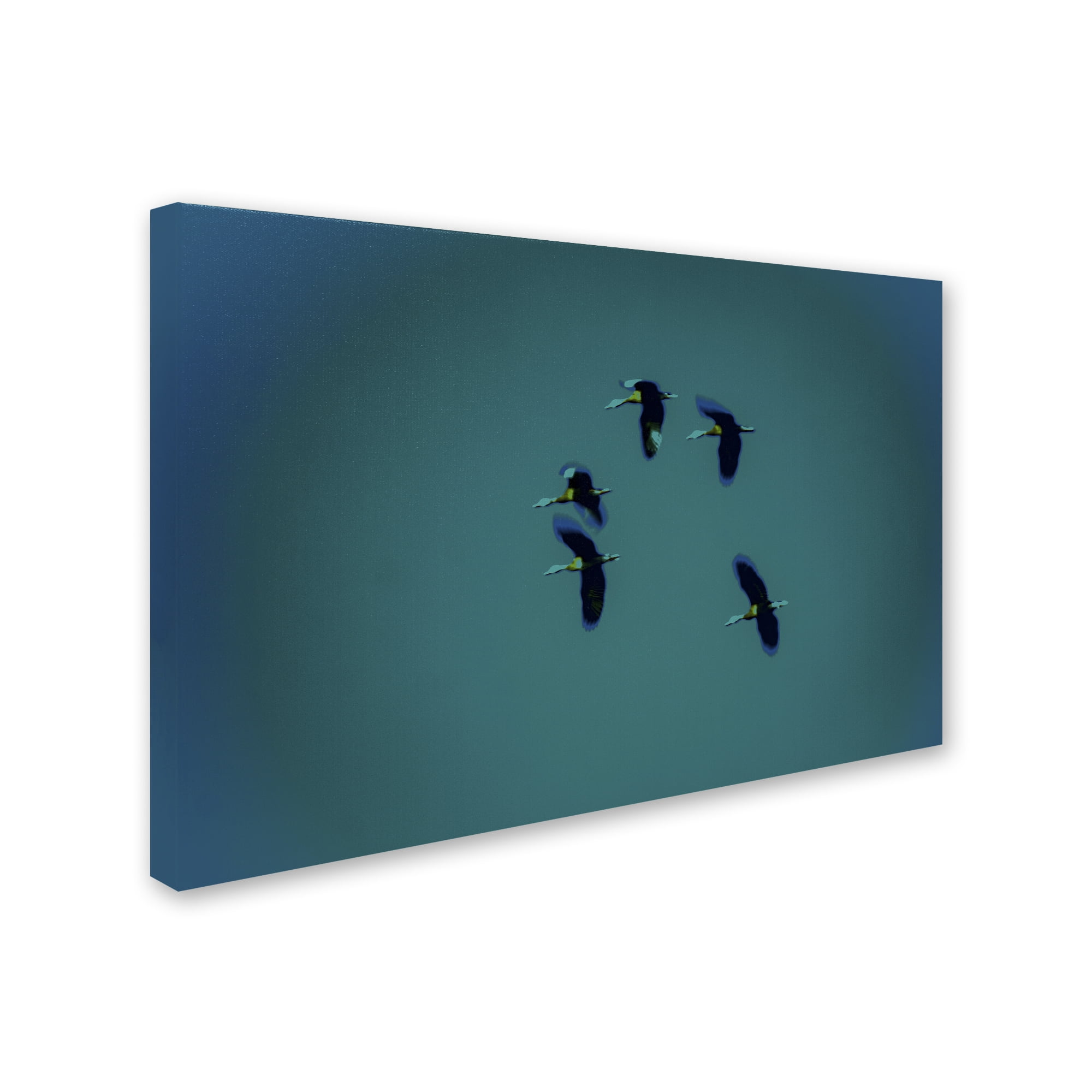 Trademark Fine Art 'Flying Ducks' Canvas Art by Patty Tuggle