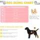 thumbnail image 4 of Pañales Lavables para Perros (Juego de 3), Muy Absorbentes, Pañales para Perros, Juego de 3 Pañales Lavables para Perros, Pañales Reutilizables para Perros Lavables (Gris, S), 4 of 5