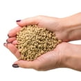 thumbnail image 4 of Japanese Hyuga Pumice Fertilizers, 1qt with Premium Potting Soil & Repotting Soil Mix, 4 of 6