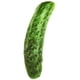 thumbnail image 1 of Canvas Dog Plush Toy Simulation Vegetable Chew Squeaker (Cucumber Cat Short Plush), 1 of 1