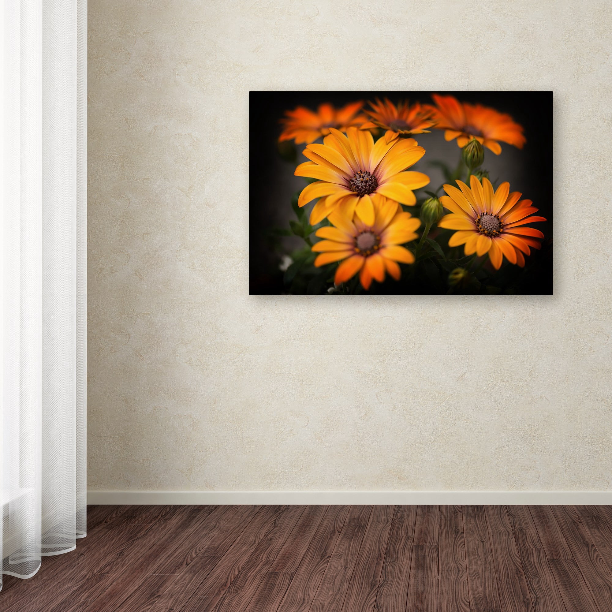 Trademark Fine Art "Stand Up" Canvas Art by Philippe Sainte-Laudy