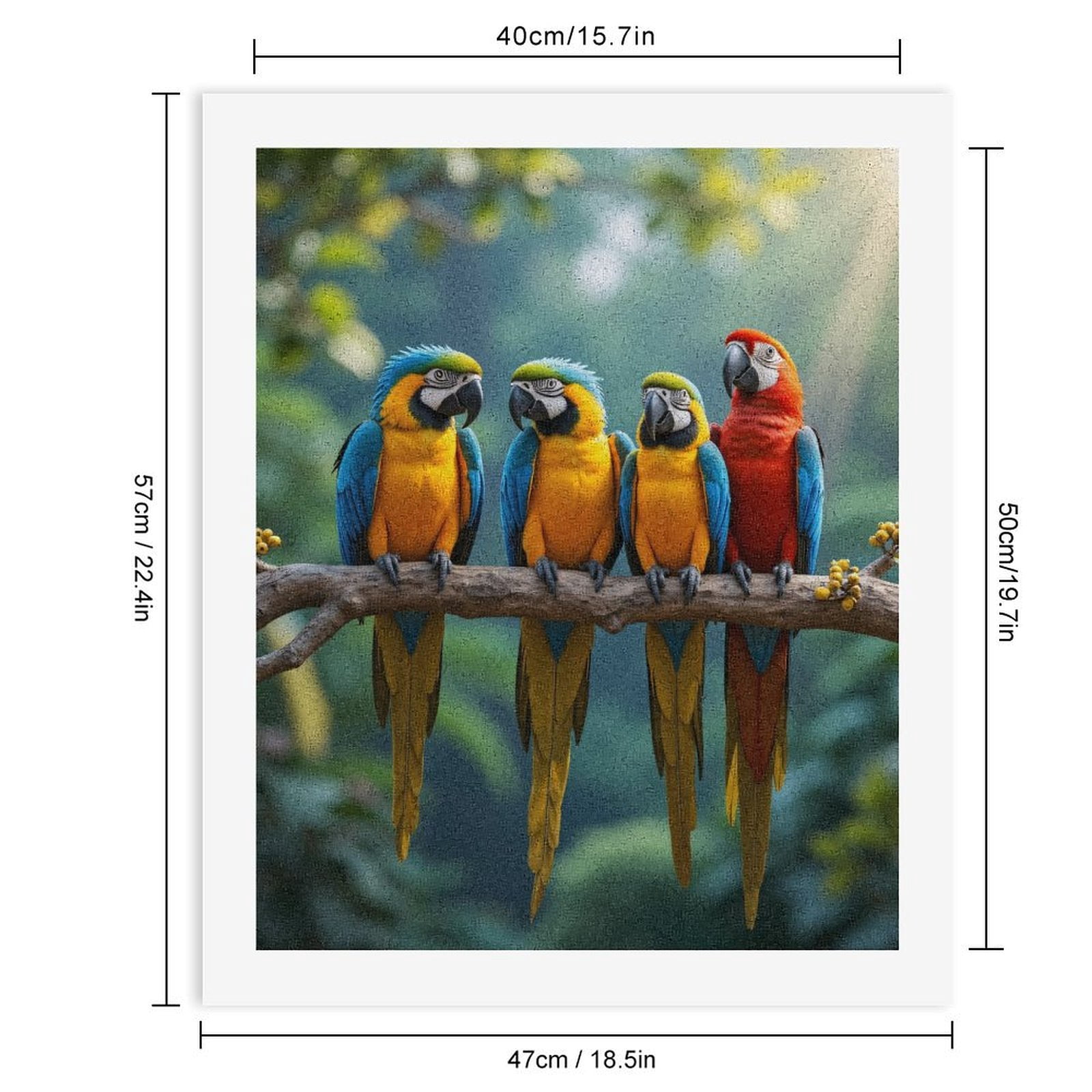 Paint by Numbers Kit for Adults, Colorful Parrots Perched Together Paint by Numbers, Easy Paint by Numbers Kit for Adults Beginner, DIY Adult Paint by Number Kits on Canvas, Home Decor 12x16in