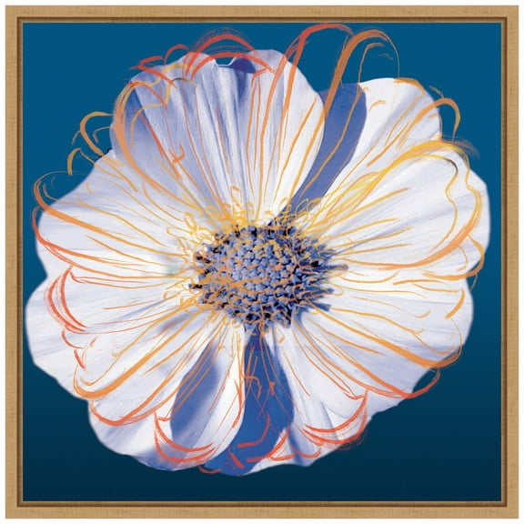 Amanti Art Flower Pop Pastel II Framed Canvas Wall Art Print