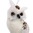 thumbnail image 4 of Adornos de plumas de Pájaro de espuma de simulación Perfecl para decoración de bodas, 4 of 6