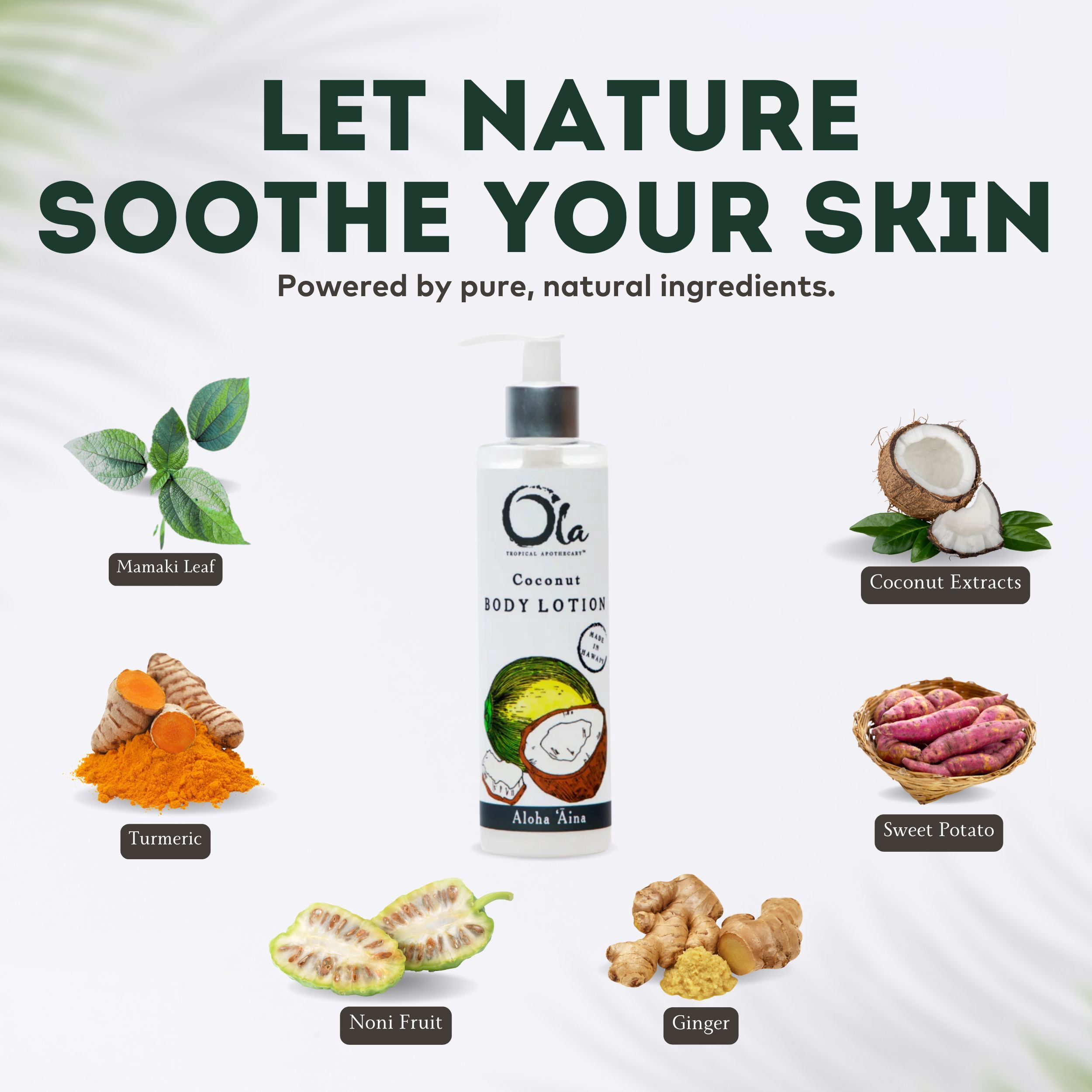 Ola Tropical Apothecary Coconut Body Lotion with Pure Tropical Oils and Plant Extracts - 8.45 Fl Oz
