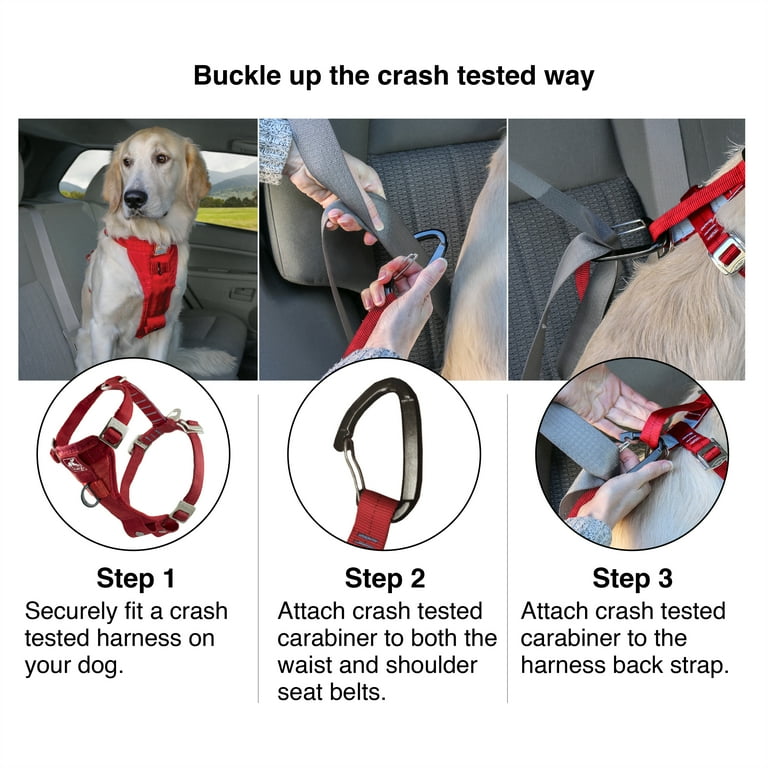 Enhanced Strength Tru-Fit Smart Harness, XL photo 4
