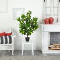 thumbnail image 3 of Nearly Natural 3' Lemon Artificial Tree, 3 of 4