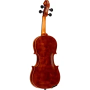 Musicale Series Violin Outfit