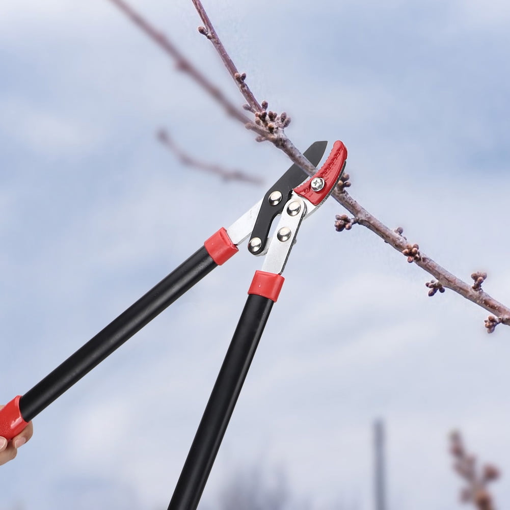 Pruning Shears, Durability Gardening Pruning Shears Labor Saving  For Landscaping For Pruning Branches For Pruning Fruit Trees