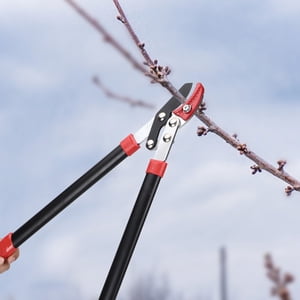 Pruning Shears, Durability Gardening Pruning Shears Labor Saving  For Landscaping For Pruning Branches For Pruning Fruit Trees