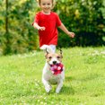 thumbnail image 3 of Sniff Ball Interactive Dog Toys for Dogs Encourage Natural Feeding Ability Slow Food Training Anti-Bite Puppy Play, 3 of 5