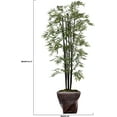 thumbnail image 2 of 81.5 in. Bamboo Tree with Planter, 2 of 6