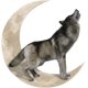 thumbnail image 2 of Decoraciones De Pared De Lobo Y Luna 30X30Cm Letrero De Pared Decoración Artística De Pared Creativa Adornos De Plantas De Pared Decoración Del Hogar Para Dormitorio Jardín Muyoka Hogar, 2 of 7