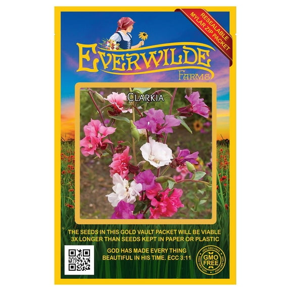 Everwilde Farms - 2000 Clarkia Native Wildflower Seeds - Gold Vault Seed Packet