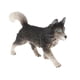thumbnail image 3 of de de plástico s Juguetes modelo de simulación, 9 egir , Little Huskie Hugo Juguete de figura animal, 3 of 10