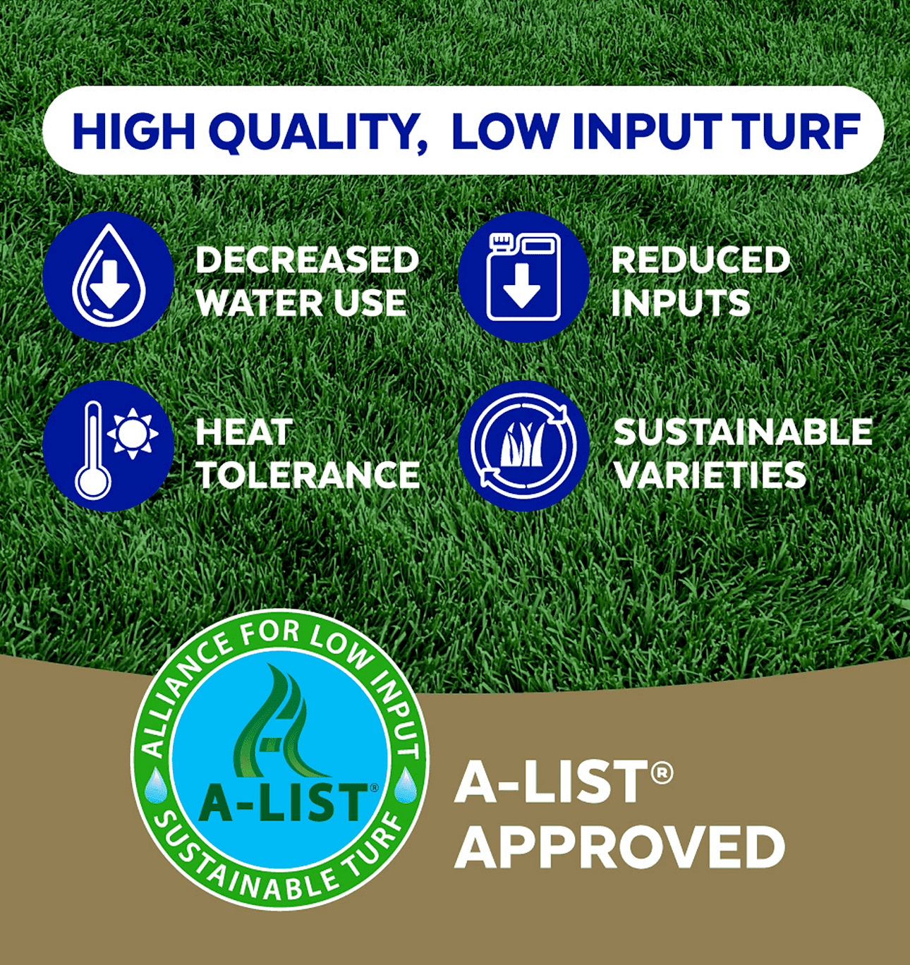 The Andersons Stadium Mix Kentucky Bluegrass Grass Seed - 3 lbs.