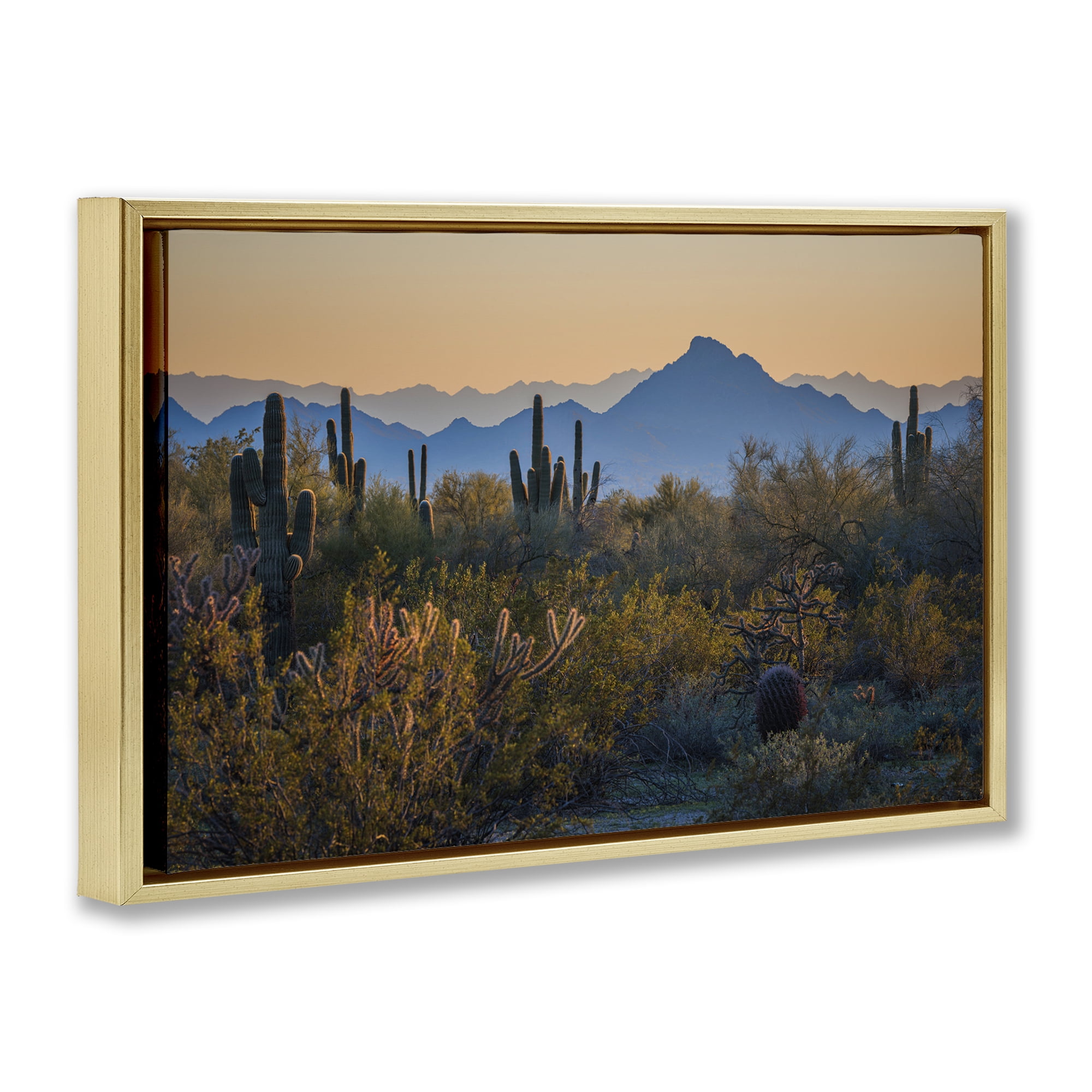 Stupell Industries Contrasting Desertscape Scene Landscape & Nature Photography Gold Floater Framed Canvas Art Print Wall Art, 31 x 21