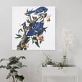 thumbnail image 5 of American Bird Artists John James Audubon Blue Jay Poster Posters Wall Art Painting Canvas Gift Living Room Prints Bedroom Decor Poster Artworks 16x16inch(40x40cm), 5 of 5