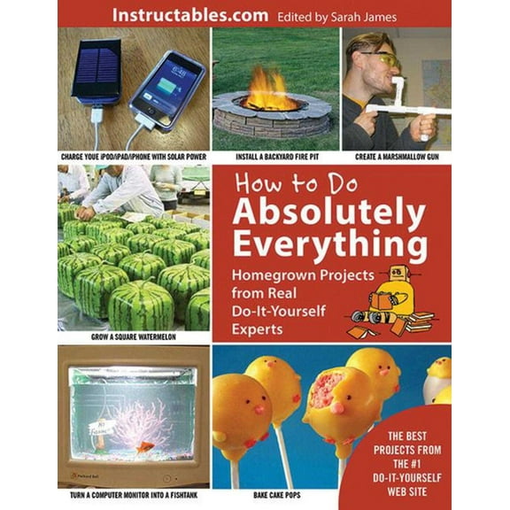 How to Do Absolutely Everything : Homegrown Projects from Real Do-It-Yourself Experts (Paperback)