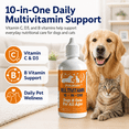 thumbnail image 3 of POLHIDE Multivitamin 10-in-One Dog and Cat Liquid Supplement, Vitamin C, D3, B Vitamins, Glucosamine, Cranberry & MSM, 4.2 fl oz / 120 mL, 3 of 8