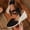 Black, variant on Women's Wedge Sandals, Big Size Closed Toe Woven Spring Summer Comfortable Shoes Brown 5.5