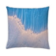 thumbnail image 2 of Ahgly Company State Wisconsin Coussin d'Extérieur, 18 Pouces par 18 Pouces, 2 of 6