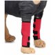 thumbnail image 3 of Rodilleras para mascotas con barras de soporte, protectores de piernas para perros, protector de piernas para perros, cubierta para lesiones quirúrgicas, L, 3 of 5