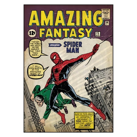 RoomMates Comic Book Cover, Spiderman #1 Peel and Stick Comic Book Cover