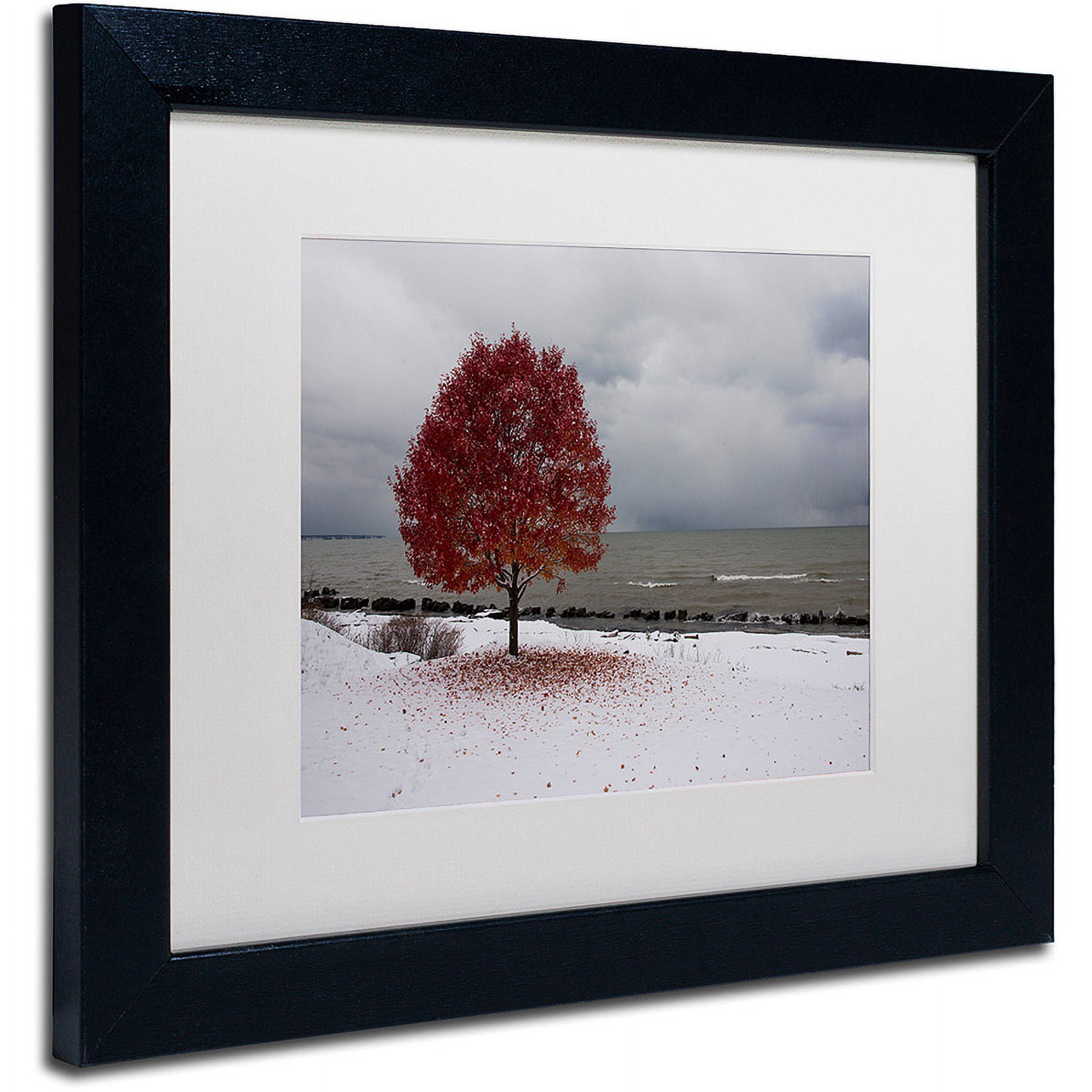 Trademark Fine Art "Autumn Contrast on the Lake" Canvas Art by Kurt Shaffer, White Matte, Black Frame