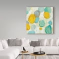 thumbnail image 3 of Trademark Fine Art 'Painted Pebbles II' Canvas Art by Silvia Vassileva, 3 of 3