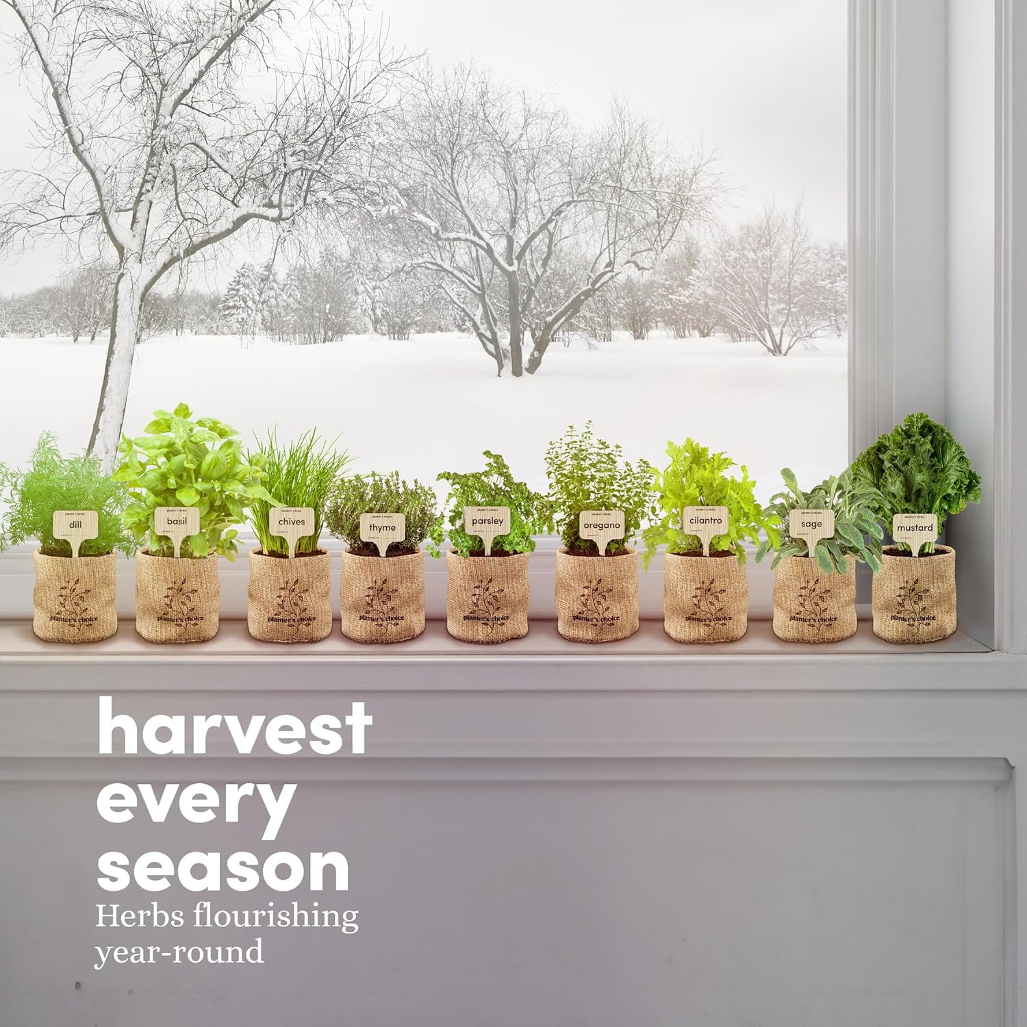 9 Herb Window Garden - Indoor Herb Starter Kit - Unique Gardening Gift –  Gift Oyster