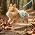 thumbnail image 6 of Rabbit Harness and Leash Set for Outdoor Training Camping Walking, Escape Proof Clothes Bunny Outfits for Rabbits, Kittens, Ferrets, Guinea Pigs (Light Green, L), 6 of 8