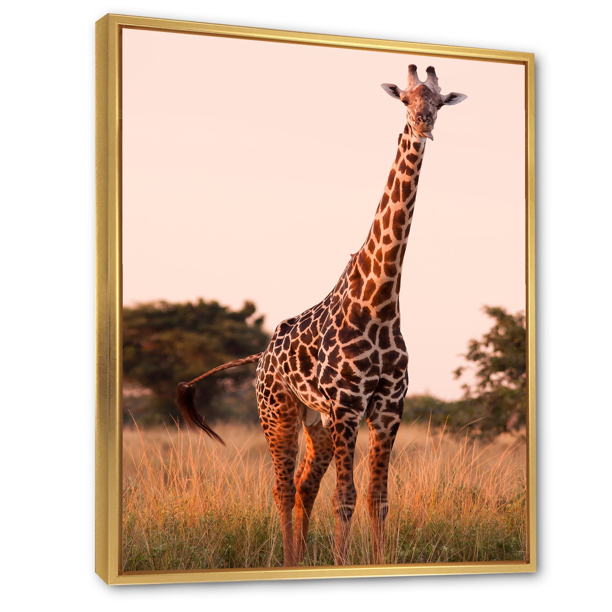 Designart 'African Giraffe In The Wildlife I' Farmhouse Framed Canvas Wall Art Print
