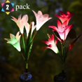 thumbnail image 1 of Linternas solares de lirio, linternas LED coloridas de simulación, luces de césped, luces de enchufe, decoración de jardín, linternas LED Lilly’s Creations JM, 1 of 5