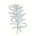 thumbnail image 2 of Vision Studio 11x14 White Modern Wood Framed Museum Art Print Titled - Indigo Botany Study II, 2 of 4