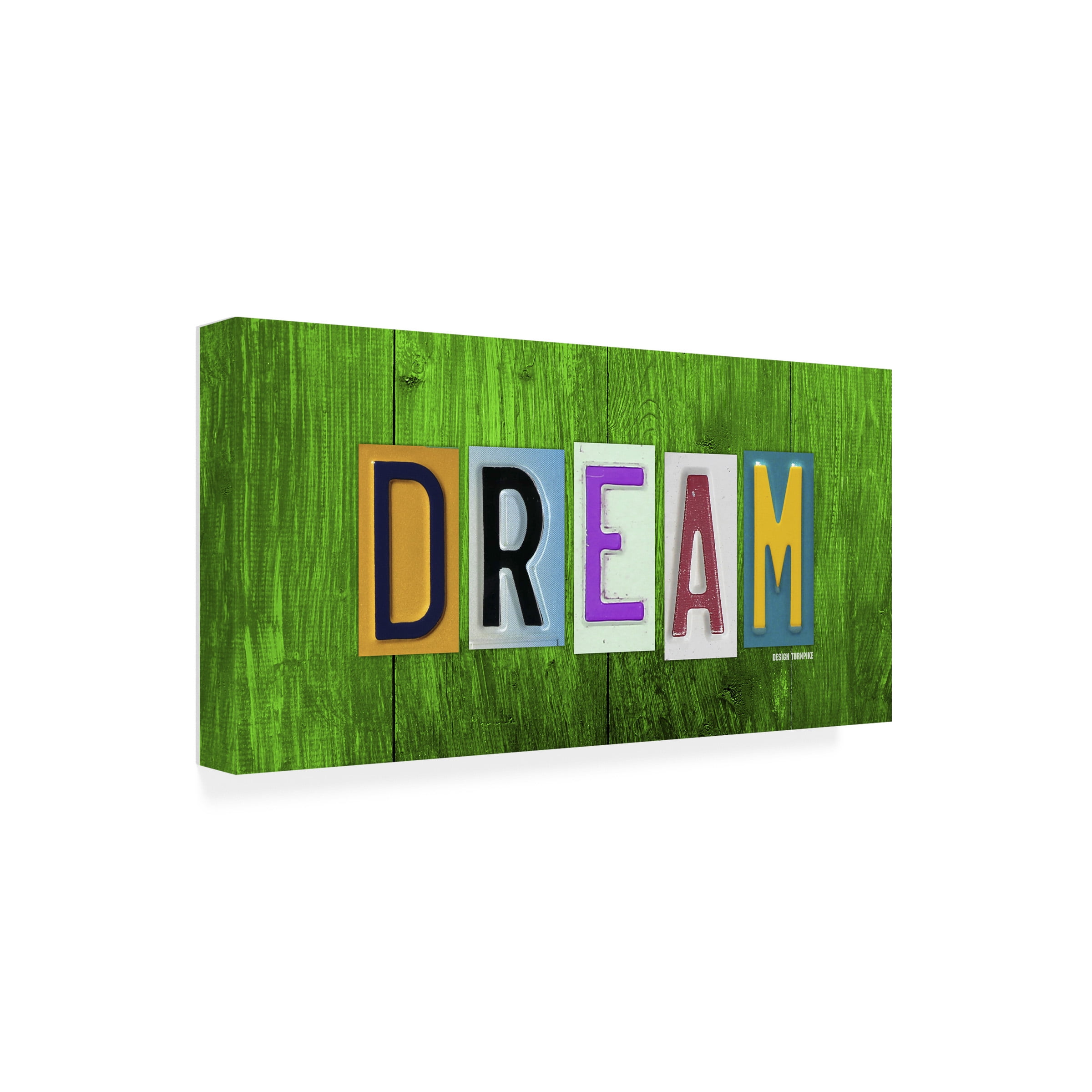 Trademark Fine Art 'Dream' Canvas Art by Design Turnpike
