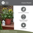 thumbnail image 5 of The HC Companies 17 Inch Round Classic Planter, Plastic Plant Pot, Evergreen, 5 of 8