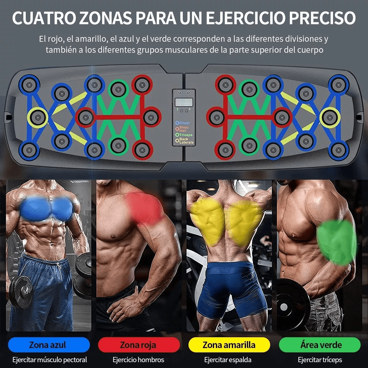 Gimnasio Rutina Ejercicios Volumen Volumen Rutina Musculacion