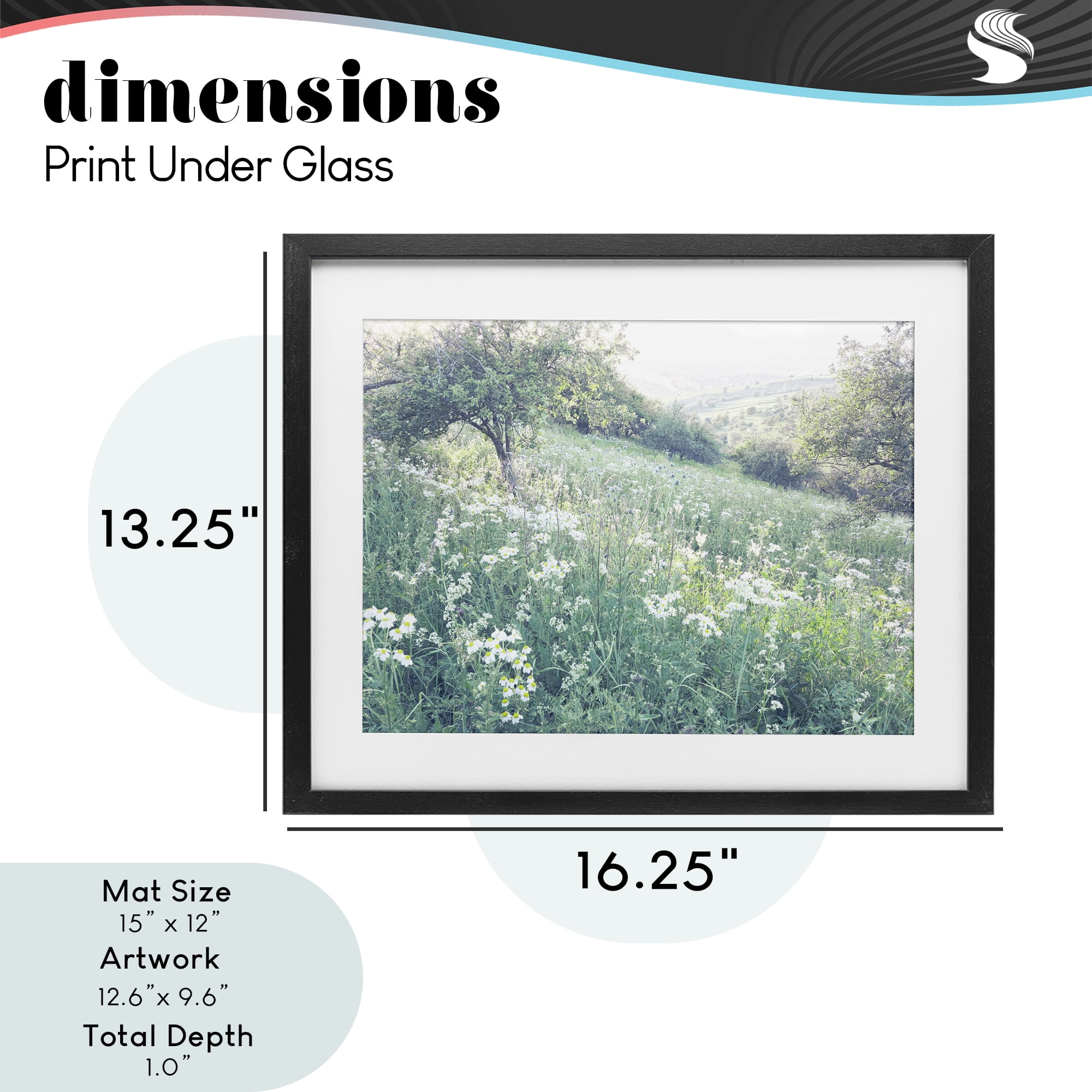 Stupell Industries Sunny Daisies in Meadow Black Framed Print Under Glass, design by Leah Straatsma