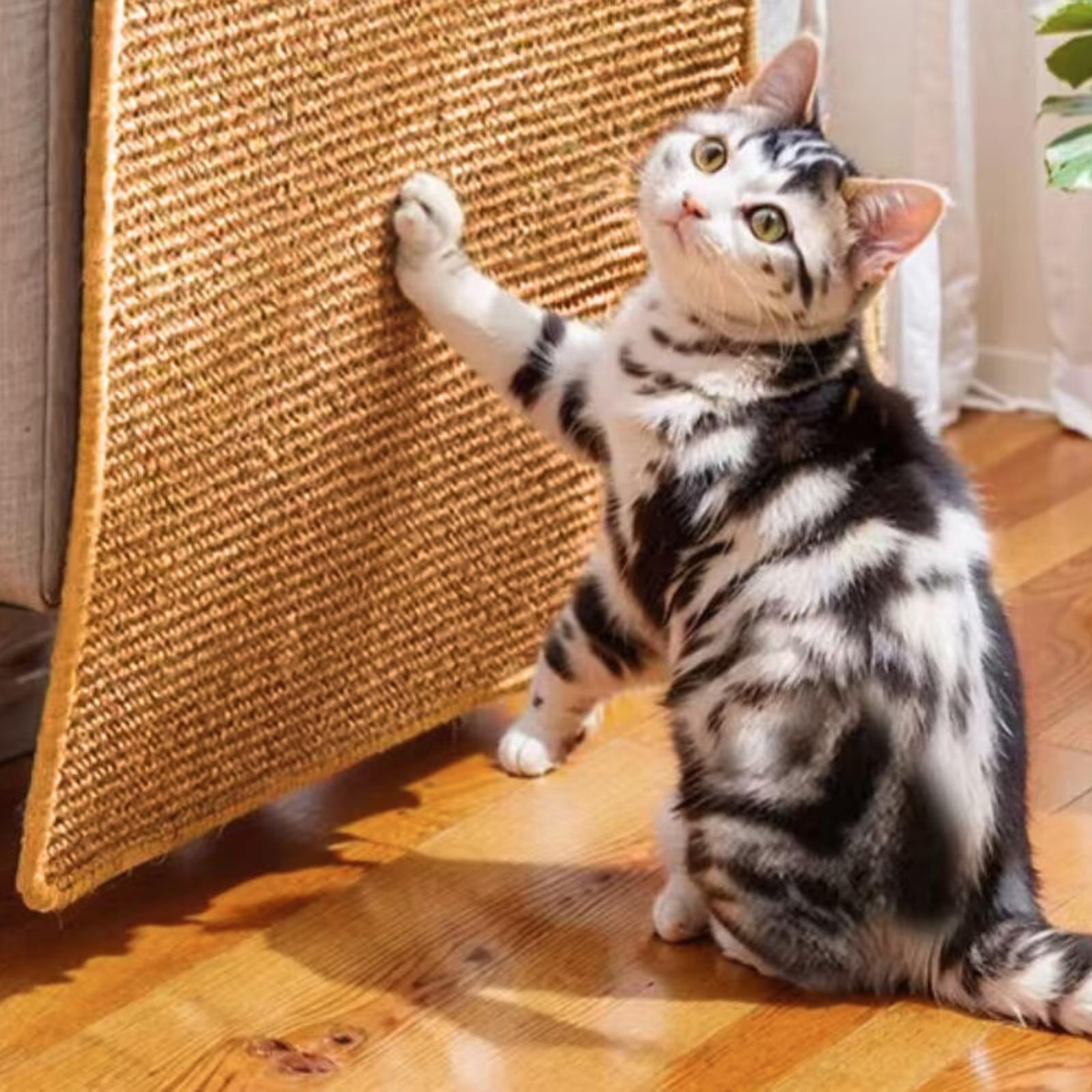 Cat Scratcher Mat 2Pack, 23.6x15.7in Sisal Pad, Multi-functional Scratch Board for Cats/Dogs/Rabbits, Furniture Protector, Brown
