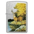 thumbnail image 2 of Zippo Linda Picken Season of Beauty Street Chrome Pocket Lighter, 2 of 8