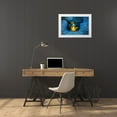 thumbnail image 3 of Gabriel, Barathieu 24x17 White Modern Wood Framed Museum Art Print Titled - Clownfish In Blue Anacmon, 3 of 4