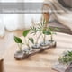 thumbnail image 4 of Estación de Propagación Jarrones de Vidrio Decoración: Terrario de 5 Plantas con Bandeja de Madera Lavada en para Sala de Estar Oficina, 4 of 5