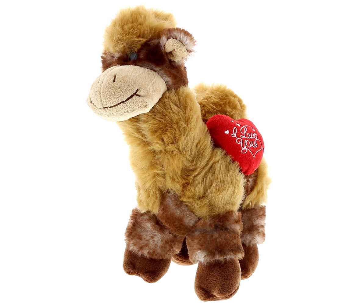 cuddly camel